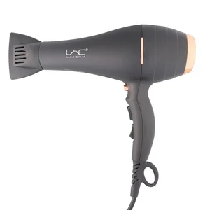 سشوار حرفه ای لایچی مدل L-9010