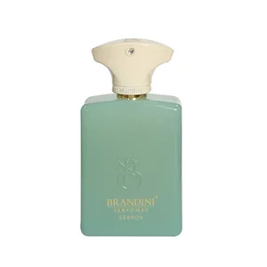 عطر جیبی برندینی مدل Search حجم 33 میلی لیتر
