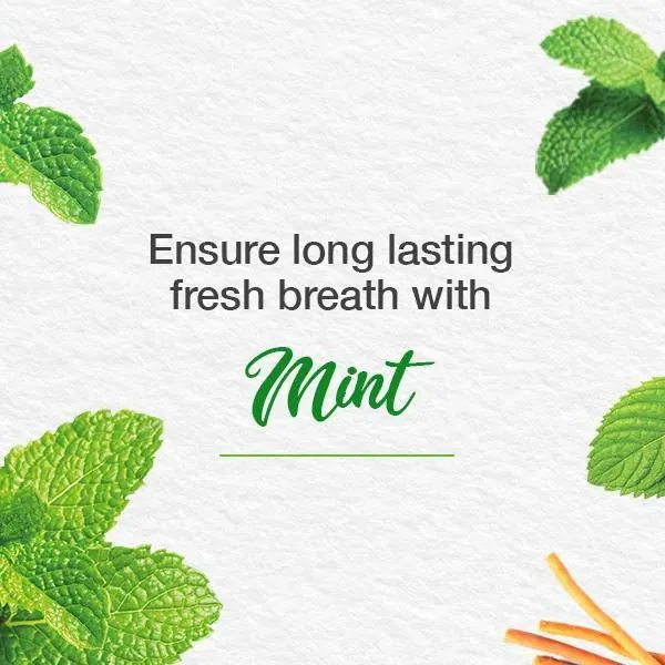 خمیر دندان هیمالیا مدل Mint Fresh حجم 75 میلی لیتر - تصویر 3