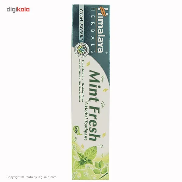 خمیر دندان هیمالیا مدل Complete Care And Mint Fresh حجم 75 میلی لیتر بسته 2 عددی - تصویر 4