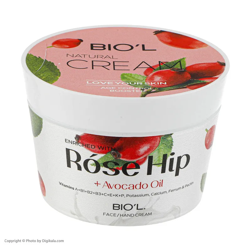 کرم مرطوب کننده بیول مدل Rose Hip حجم 200 میلی لیتر - تصویر 4