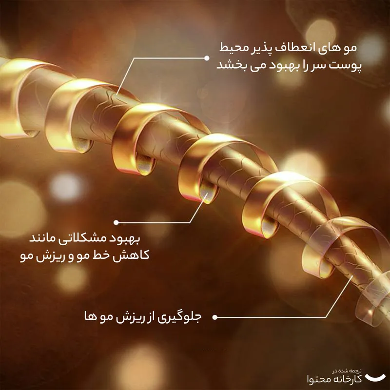 شامپو تقویت کننده و ضد ریزش مو بایو آکوا مدل رزماری مناسب انواع مو حجم 250 میلی لیتر - تصویر 3