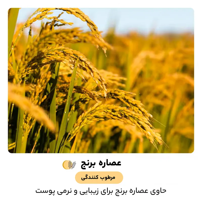 ماسک صورت بایو آکوا مدل پوره برنج وزن 25 گرم - تصویر 4