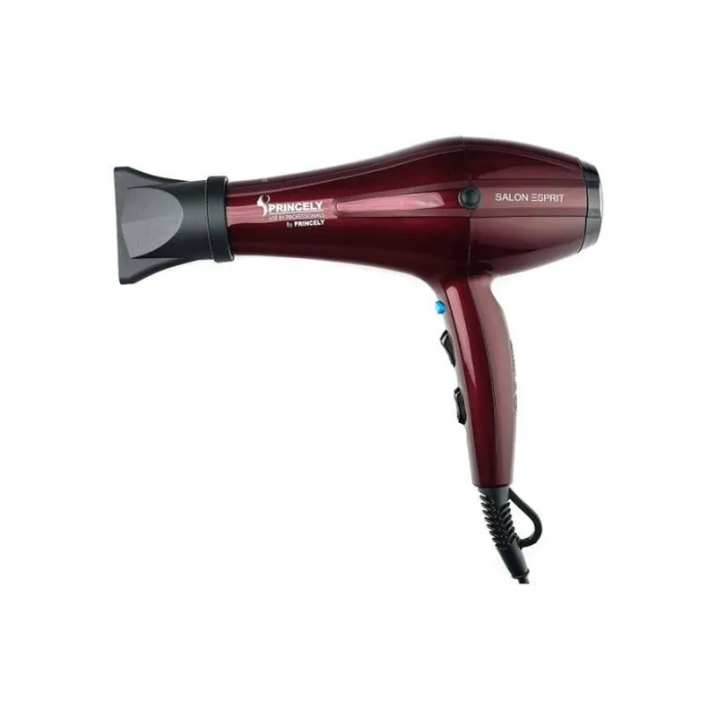 سشوار حرفه‌ای 2400 وات پرینسلی مدل PR250AT، موتور AC، وزن 550 گرم، المنت فلز، دارای سری متمرکز‌کننده باریک، متمرکز‌کننده پهن با ویژگی صاف‌کنندگی، حجم‌دهندگی با قابلیت باد سرد - تصویر 3