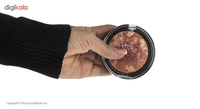 رژگونه تراکوتا باریش مدل Silky touch شماره 201 - تصویر 4