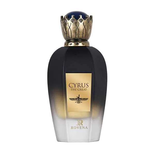 ادوپرفیوم مردانه روونا مدل Cyrus حجم 100 میلیلیتر - تصویر 4