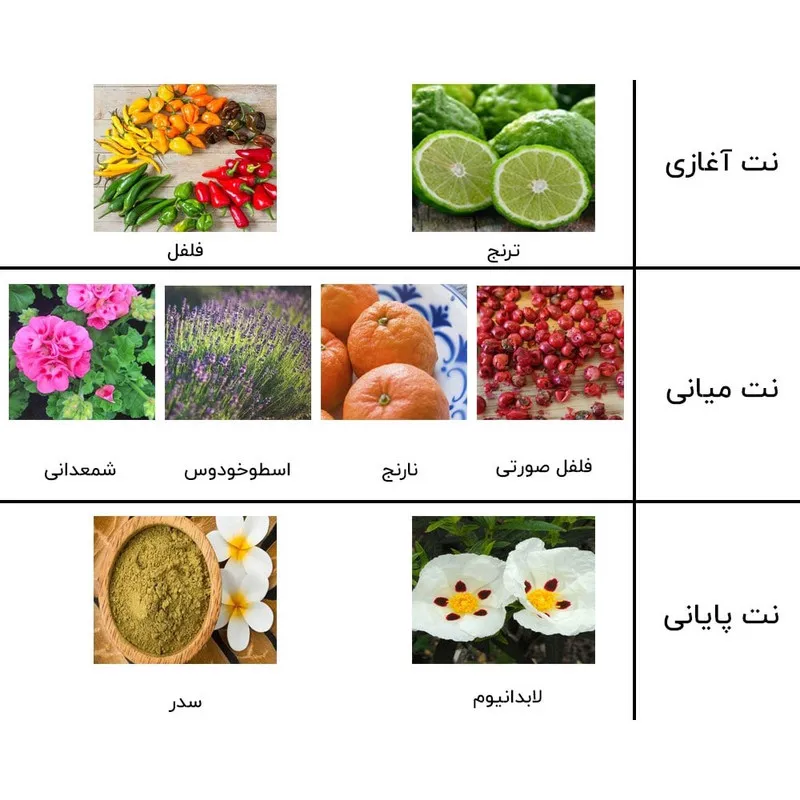 ادو پرفیوم مردانه نیفتی مدل ساواج دیور  حجم 60 میلی لیتر - تصویر 4