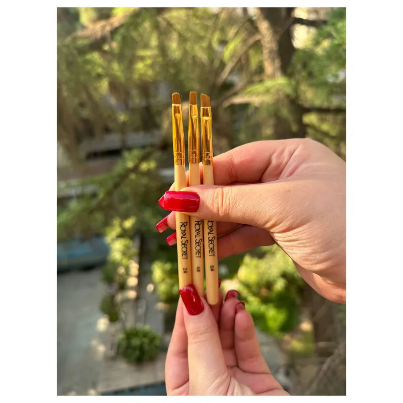برس سایه رویال سکرت مدل DTS-2-4-6 مجموعه 3 عددی - تصویر 2