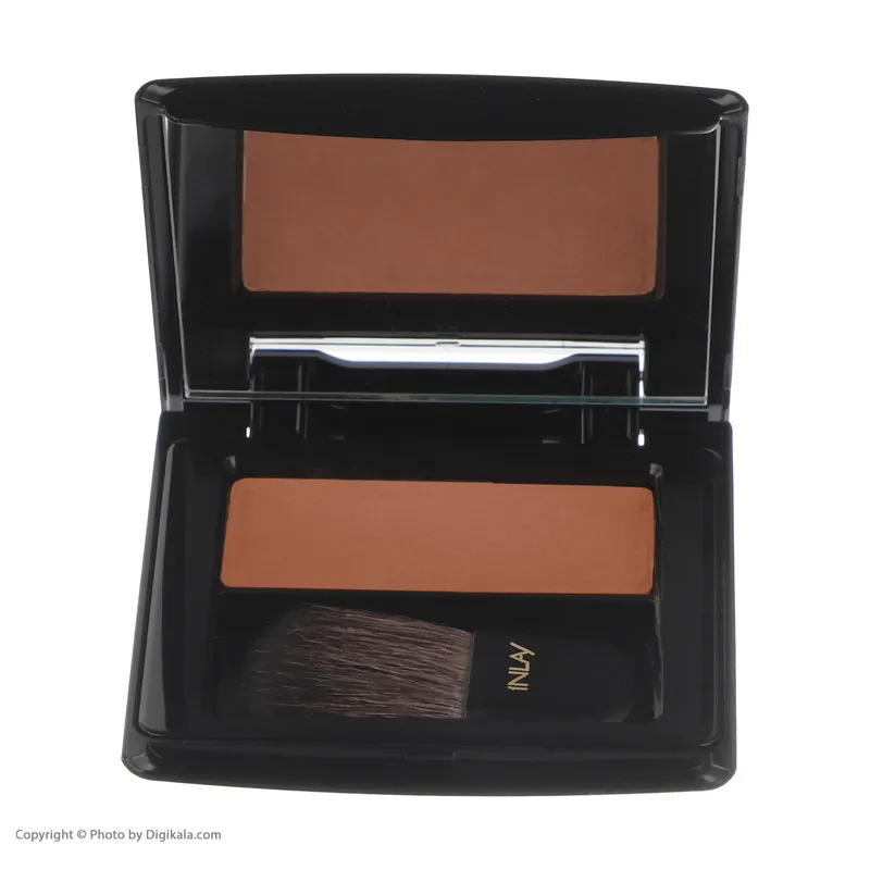 رژگونه این لی مدل Golden Wood شماره 06 - تصویر 6