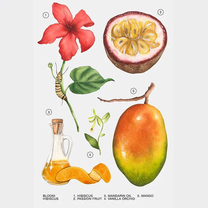 ادو پرفیوم زنانه زارا مدل HIBISCUS حجم 90 میلی‌لیتر - تصویر 3