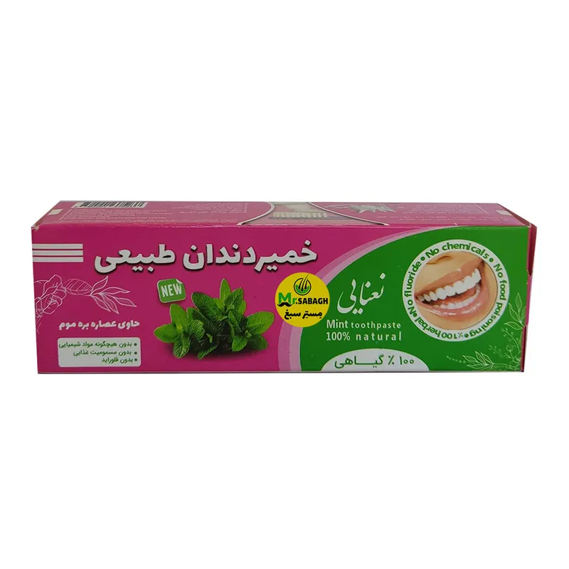 خمیر دندان مستر سبغ مدل نعنائی وزن 30 گرم