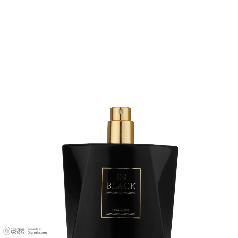 ادو پرفیوم مردانه رودیر پلاس مدل In Black حجم 100 میلی لیتر - تصویر 3