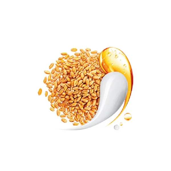 شامپو تقویت کننده و ترمیم کننده مو اکتیو مدل گندم حجم 350 میلی لیتر بسته 2 عددی - تصویر 6