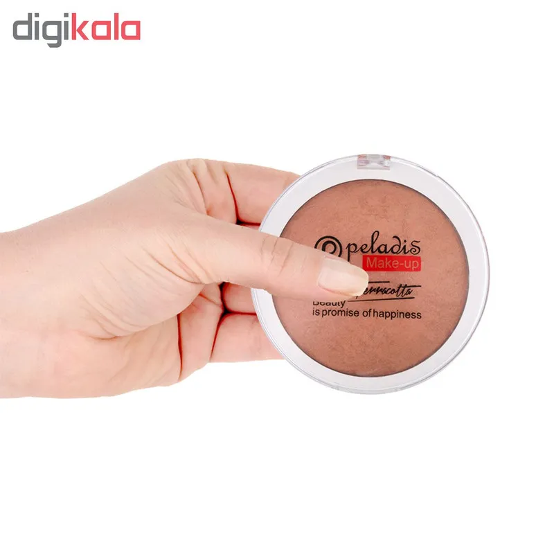 رژگونه پارس پلادیس مدل Promise شماره 101 - تصویر 3