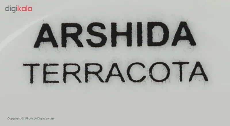 رژ گونه آرشیدا سری Terracotta شماره 306 - تصویر 6