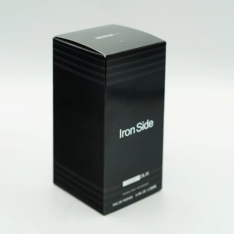 ادو پرفیوم مردانه رودیر پلاس مدل Iron Side حجم 100 میلی لیتر - تصویر 2