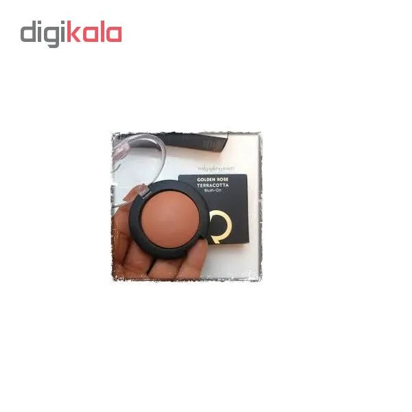 رژگونه گلدن رز مدل Terracotta شماره 10 - تصویر 3