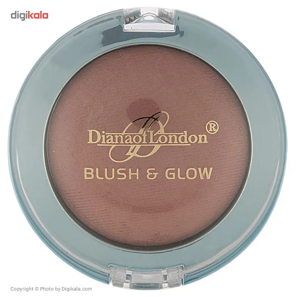رژ گونه دایانا مدل 08 - تصویر 2
