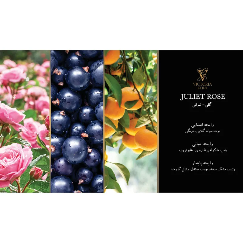 ادوپرفیوم زنانه ویکتوریا گلد مدل JULIET ROSE حجم 100 میلی‌لیتر - تصویر 3