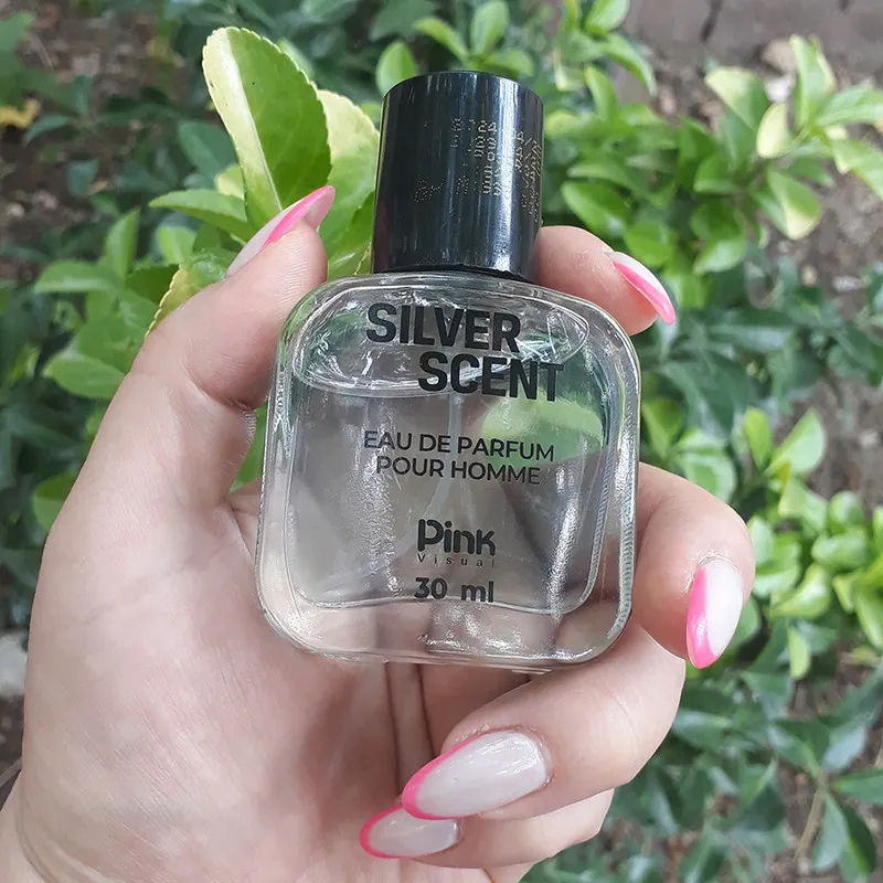 عطر جیبی مردانه پینک ویژوال مدل SILVER SCENT حجم 30 میلی لیتر - تصویر 2
