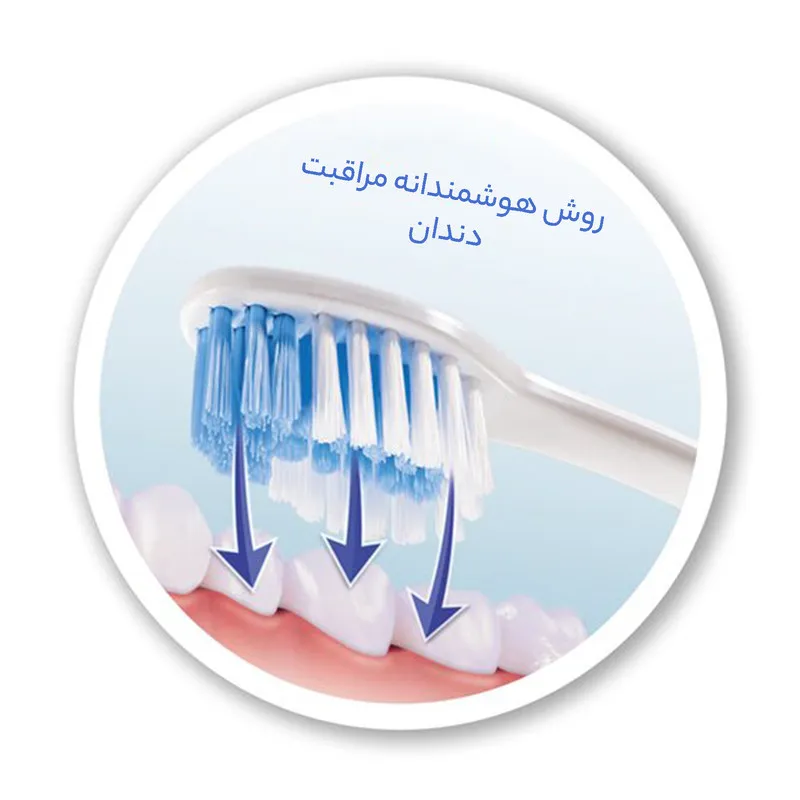 مسواک تریزا مدل فیل گود با برس نرم بسته 2 عددی - تصویر 4