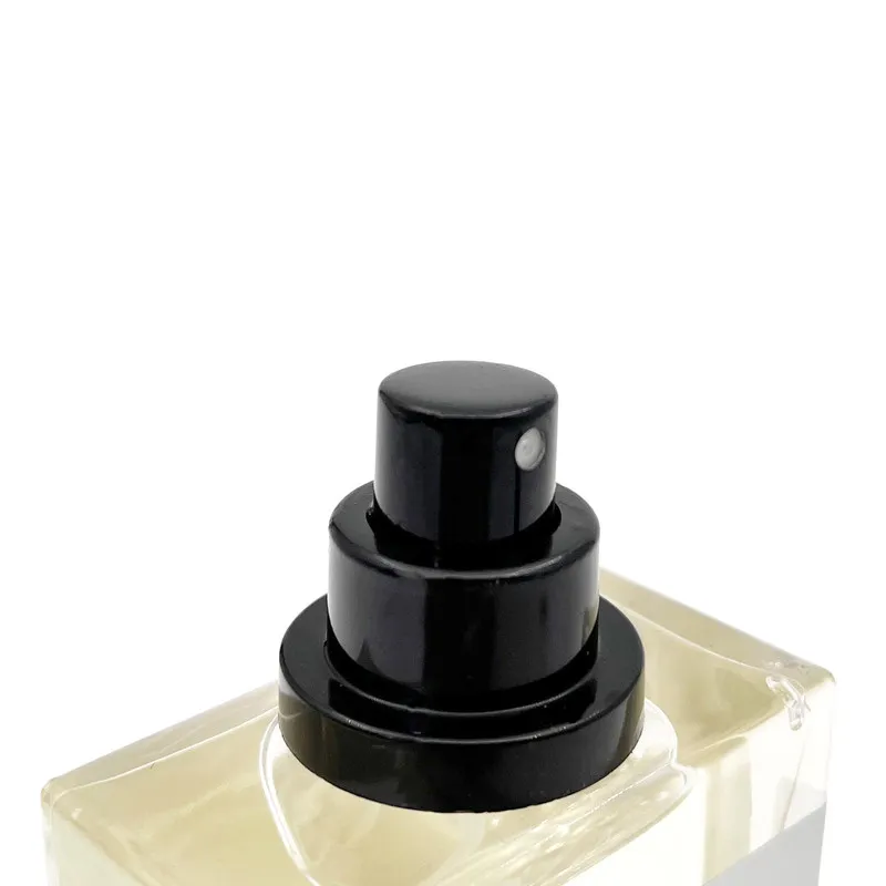 اکستریت دی پرفیوم مردانه حال خوب روزها مدل عطر لویی ویتون آمبر نومید حجم 50 میلی لیتر - تصویر 2