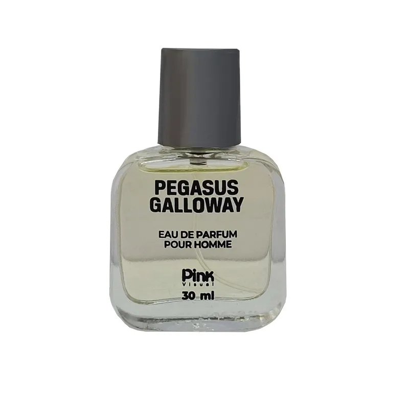 عطر جیبی مردانه پینک ویژوال مدل Pegasus Galloway حجم 30 میلی لیتر 