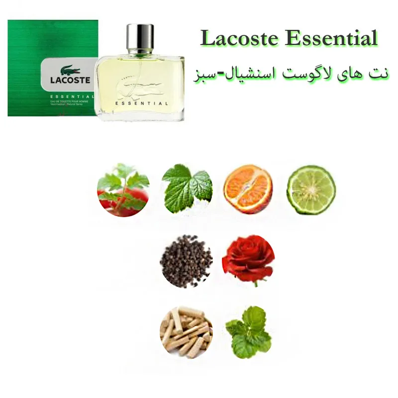 ادو پرفیوم مردانه هارلینگن مدل لاگوست اسنشیال با رایحه خنک حجم 50 میلی لیتر - تصویر 3