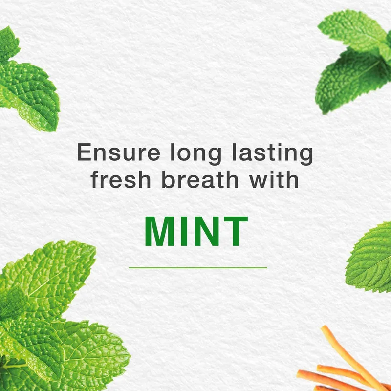 خمیر دندان هیمالیا مدل Mint Fresh حجم 100 میلی لیتر - تصویر 5