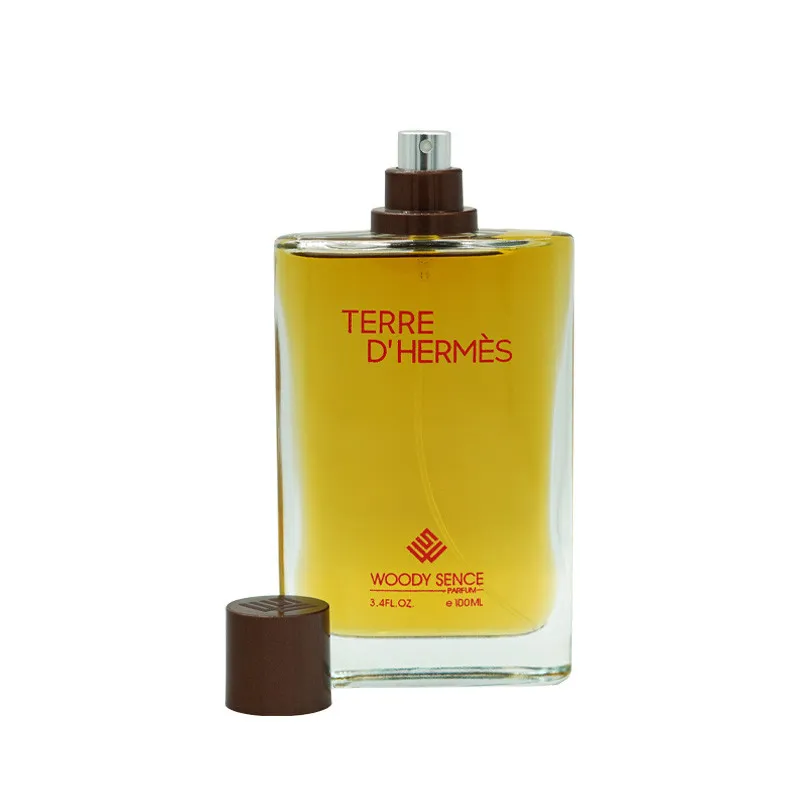 ادوپرفیوم مردانه وودی سنس مدل TERRE D’HERMES با رایحه تلخ حجم 100 میلی لیتر - تصویر 2