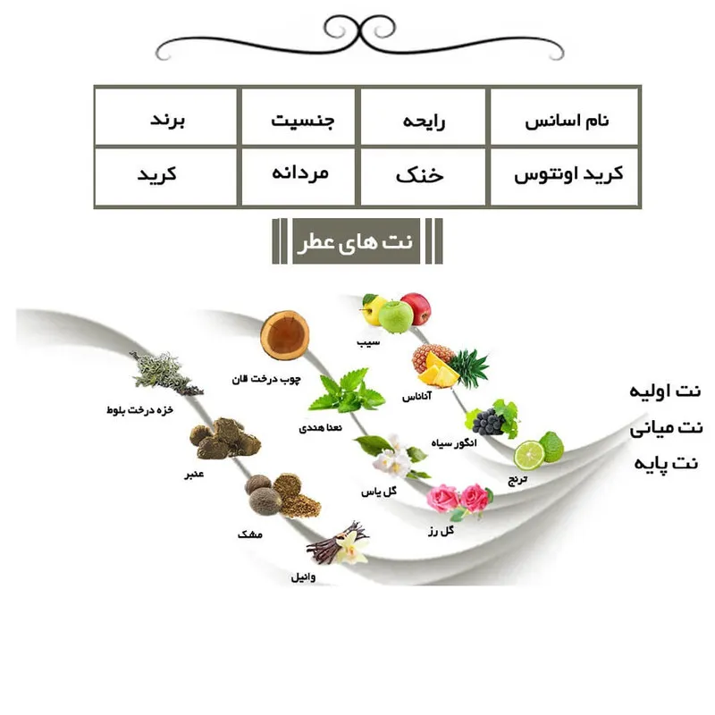عطر جیبی مردانه یاغیش مدل CK04 حجم 24 میلی لیتر مجموعه 4 عددی - تصویر 6
