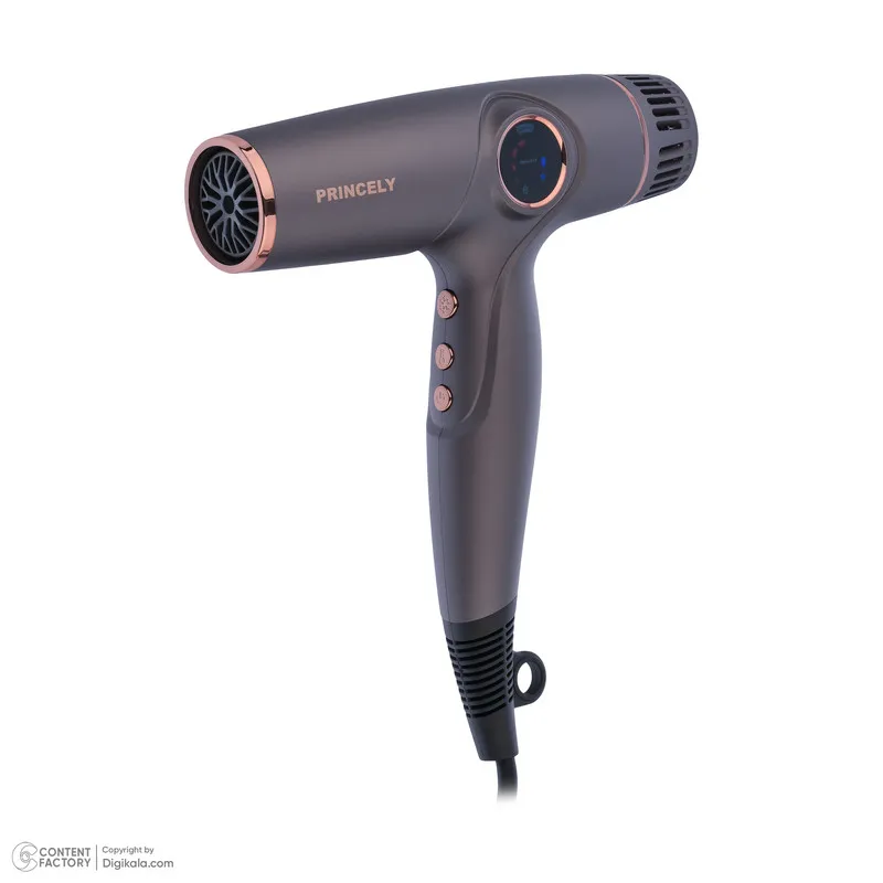سشوار پرنسلی مدل PR281AT - تصویر 2