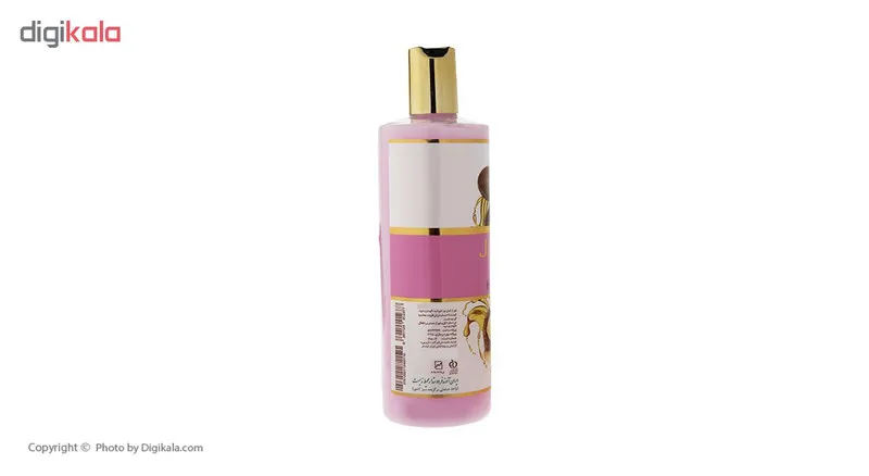 نرم کننده مو ژیوانا مدل Argan حجم 500 میلی لیتر - تصویر 3