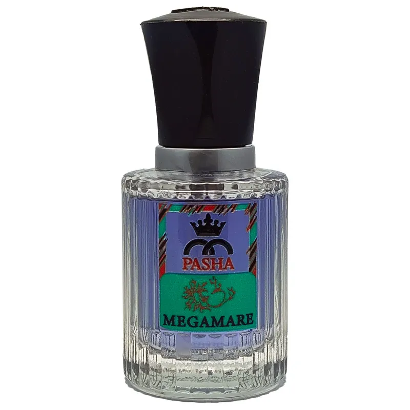 عطر جیبی مردانه پاشا مدل مگامار کد vip حجم 30 میلی لیتر - تصویر 2