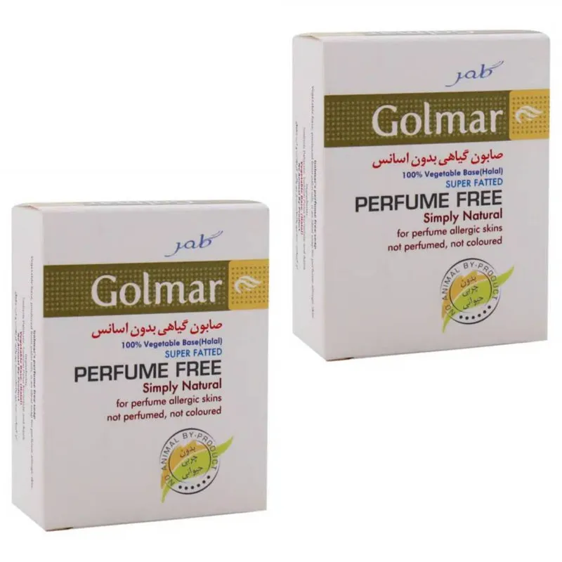 صابون ضد باکتری گلمر مدل 1 وزن 100 گرم مجموعه 2 عددی