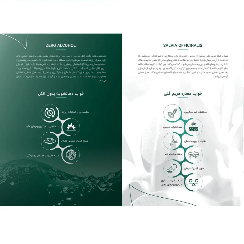 دهان شویه دنتیلایت مدل Postbiotic حجم 500 میلیلیتر - تصویر 3
