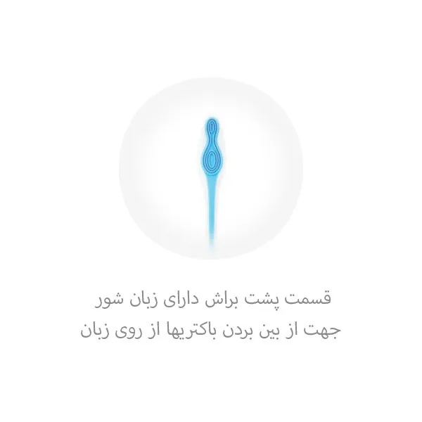 مسواک جردن مدل توتال کلین با برس نرم - تصویر 4