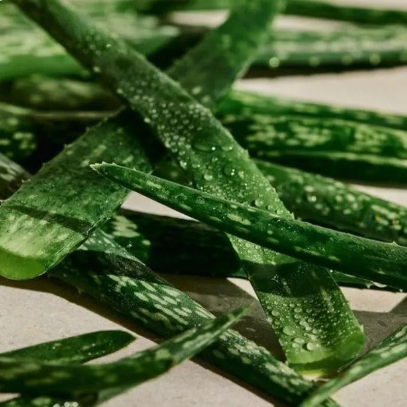 تونر پاک کننده پوست صورت بادی شاپ مدل Aloe سازگار با پوست حساس حجم 250 میلی لیتر - تصویر 3