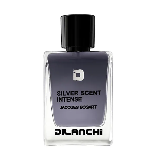 ادو پرفیوم مردانه دیلانچی مدل Silver Scent با رایحه گرم حجم 100 میلی لیتر