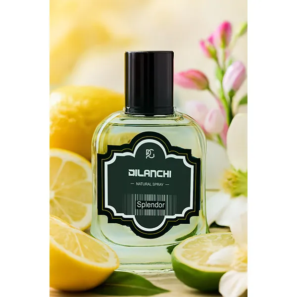 ادوپرفیوم مردانه دیلانچی مدل Splendor با رایحه خنک حجم 50 میلی لیتر - تصویر 2