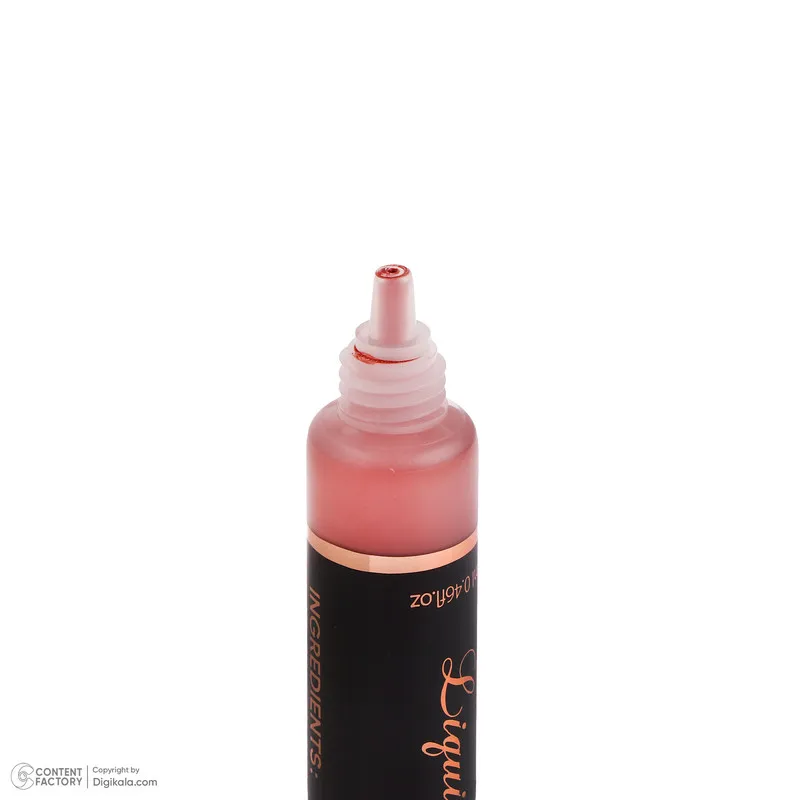 رژ گونه مایع شیز نایس شماره 001 - تصویر 3