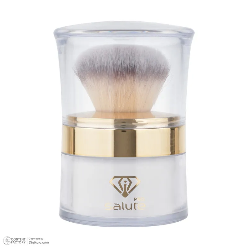 پودر تثبیت کننده آرایش سالوته پرو مدل S-01 - تصویر 2
