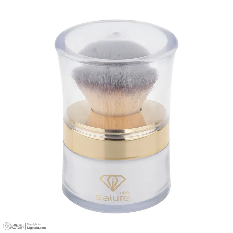 پودر تثبیت کننده آرایش سالوته پرو مدل S-01 - تصویر 3