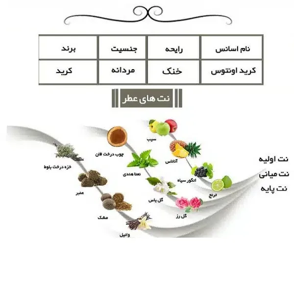 ادو پرفیوم مردانه ایفوریا مدل اونتیوس با رایحه تلخ حجم 100 میلی لیتر - تصویر 3