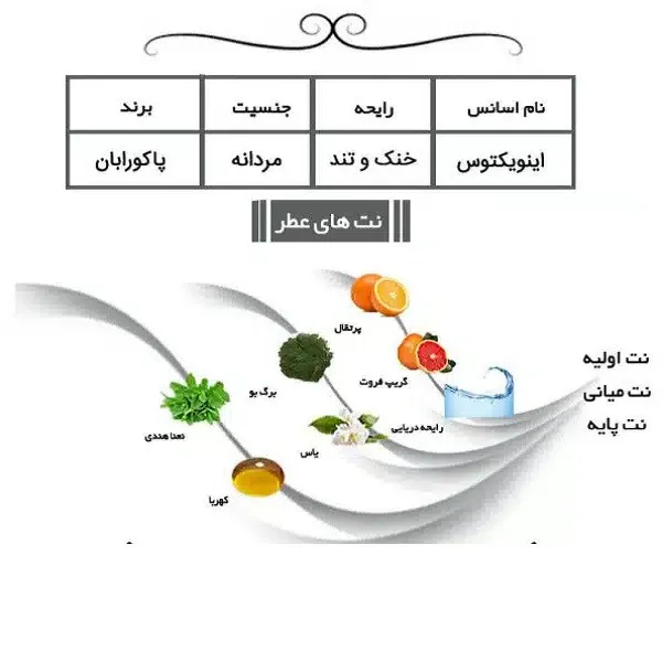ادوپرفیوم مردانه ایفوریا مدل اینوکتوس پاکو رابان با رایحه خنک حجم 100 میلیلیتر - تصویر 3