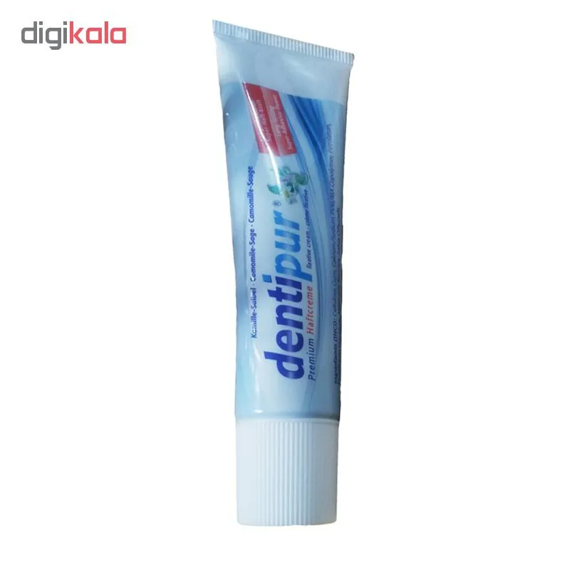 چسب دندان مصنوعی دنتی پور مدل Premium وزن 40 گرم - تصویر 2