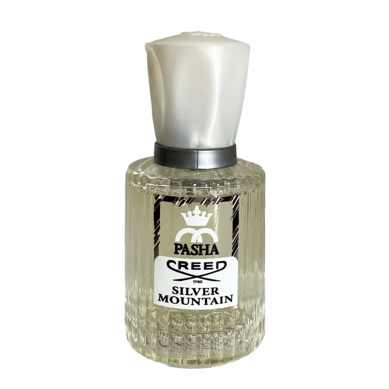 عطر جیبی پاشا مدل Silver Mountain با رایحه خنک حجم 30 میلیلیتر - تصویر 2
