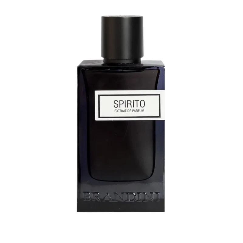 اکستریت دی پرفیوم مردانه برندینی مدل Spirito با رایحه گرم حجم 90 میلی لیتر