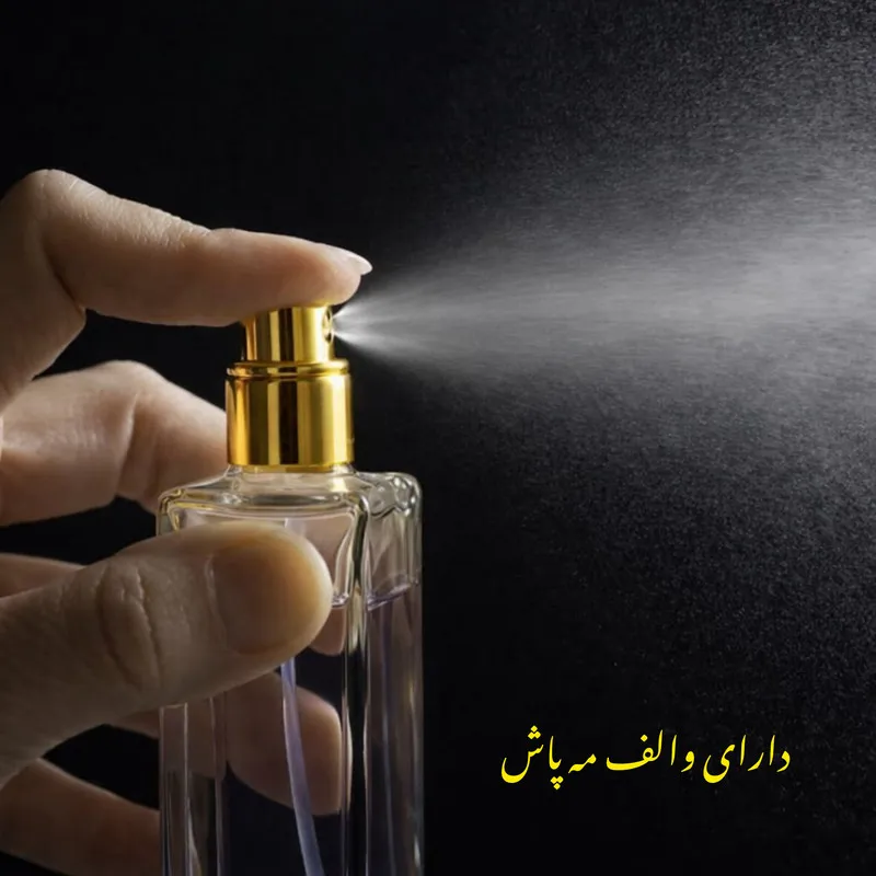 ادوپرفیوم زنانه لورکس مدل ایوسن لورن با رایحه گرم حجم 50 میلی لیتر - تصویر 5