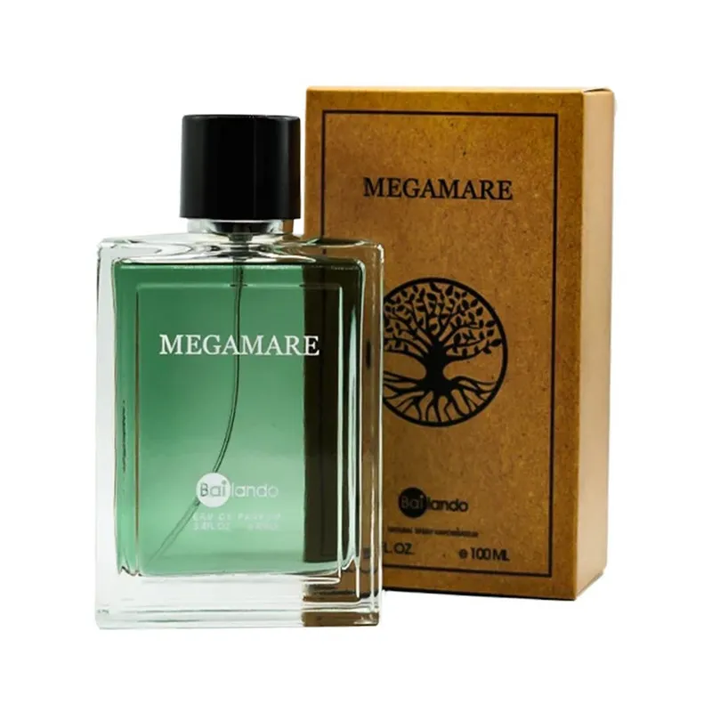 ادو تویلت مردانه بایلندو مدل MEGAMARE حجم 100 میلی لیتر - تصویر 2